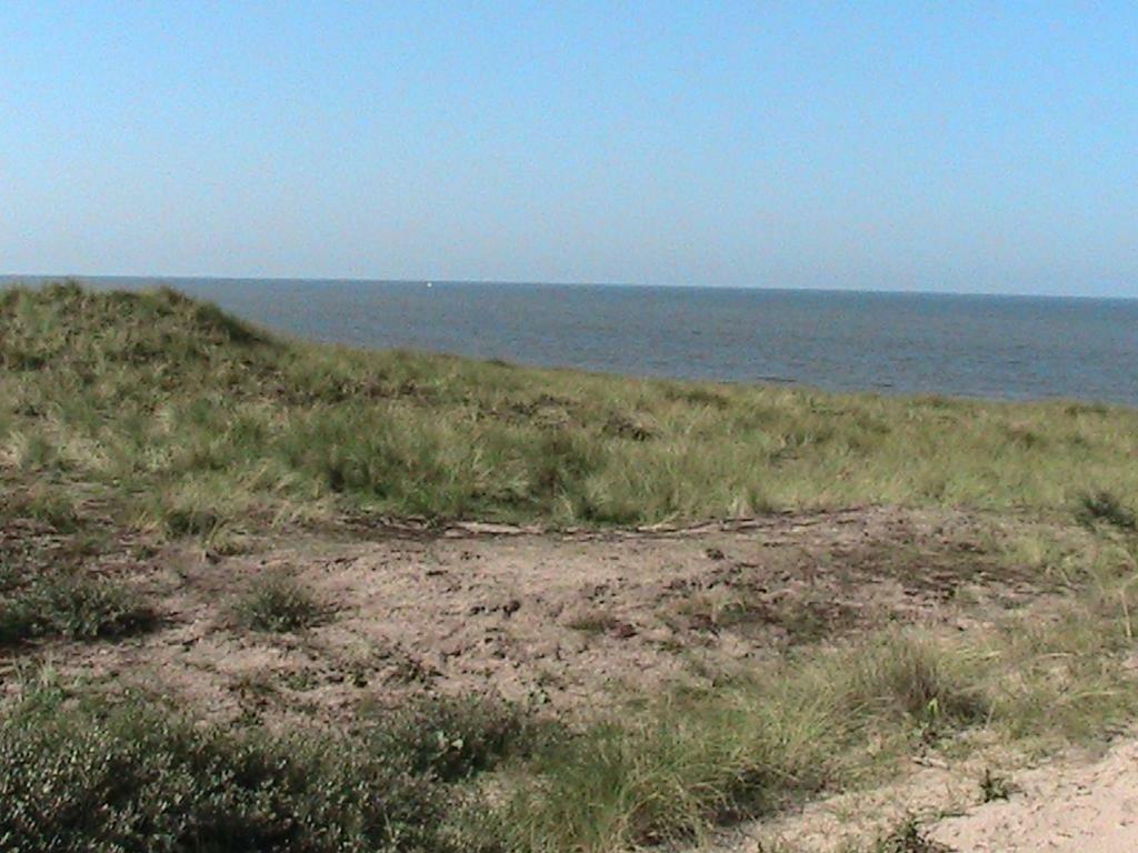 Beachroom Zandvoort Esterno foto